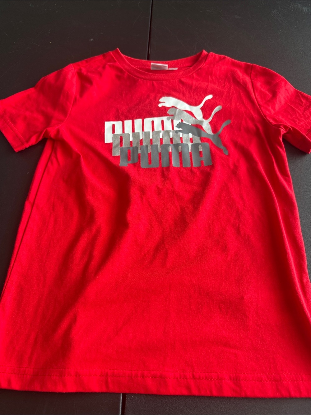 Puma Red Short Sleeve Tee with Silver Logo